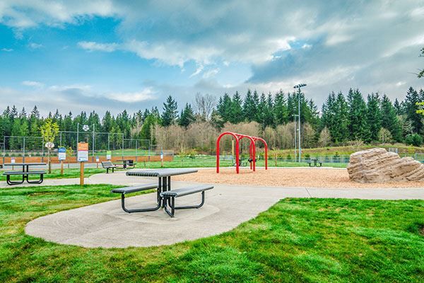Park Amenities & Ideas: Enhancing Community Spaces with Thoughtful Upgrades