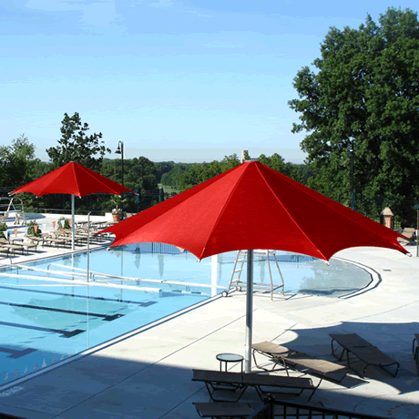 20' Palm Funbrella