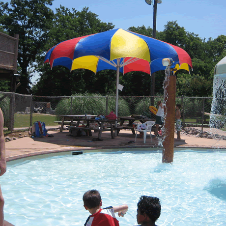 12' Shark Funbrella