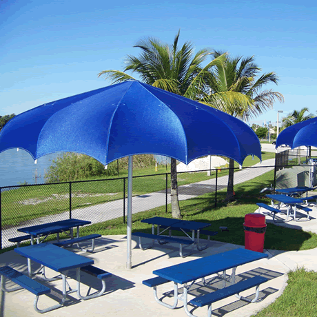 12' Shark Funbrella
