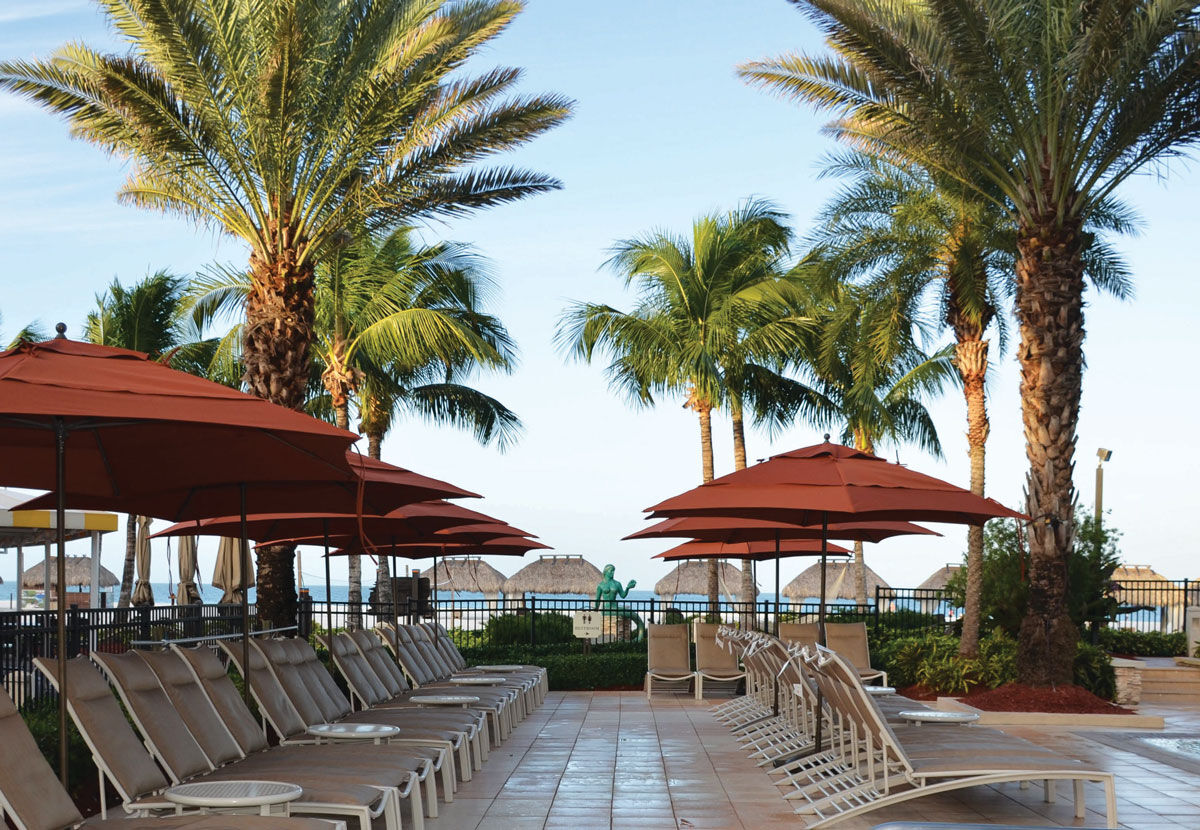 South Beach Heavy Duty Commercial Umbrella, 11 Foot Diameter